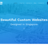 Skynozis Designers Emerging Web Design Company in Singapore